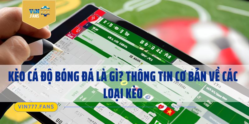 Kèo Cá Độ Bóng Đá Là Gì? Thông Tin Cơ Bản Về Các Loại Kèo