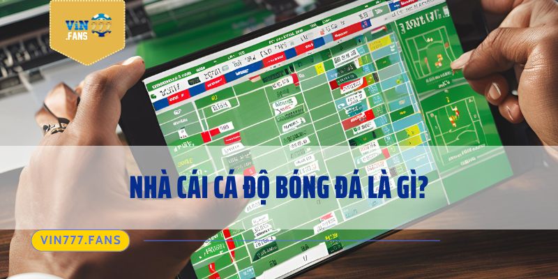 Nhà cái cá độ bóng đá là gì?